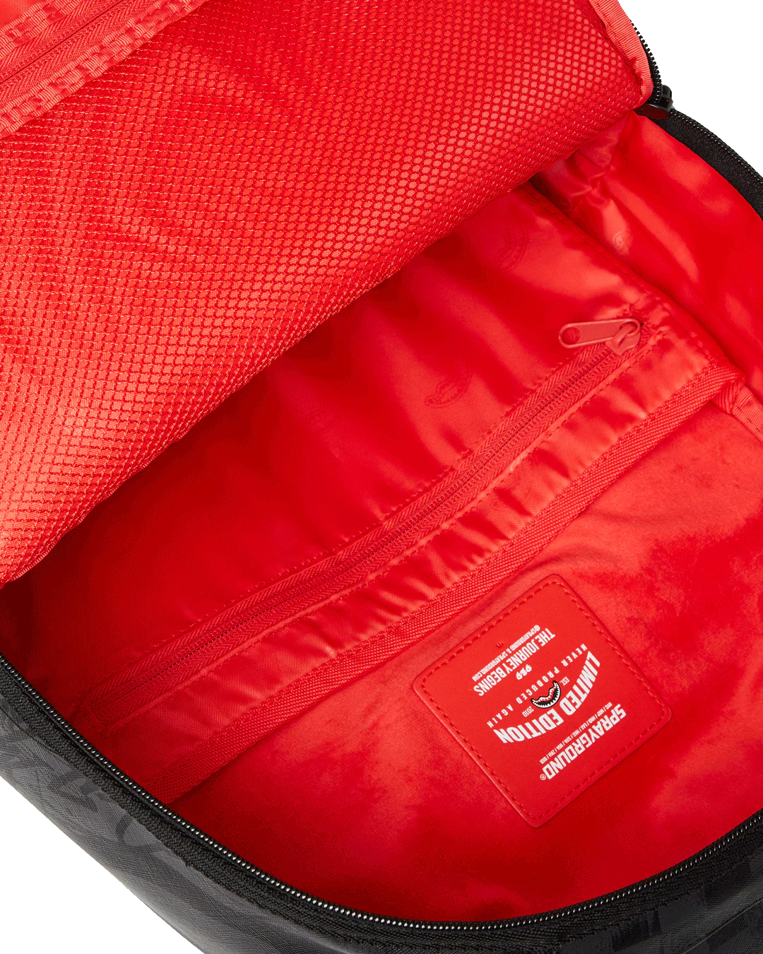 READY TO RIP DLXSV BACKPACK - Image 11