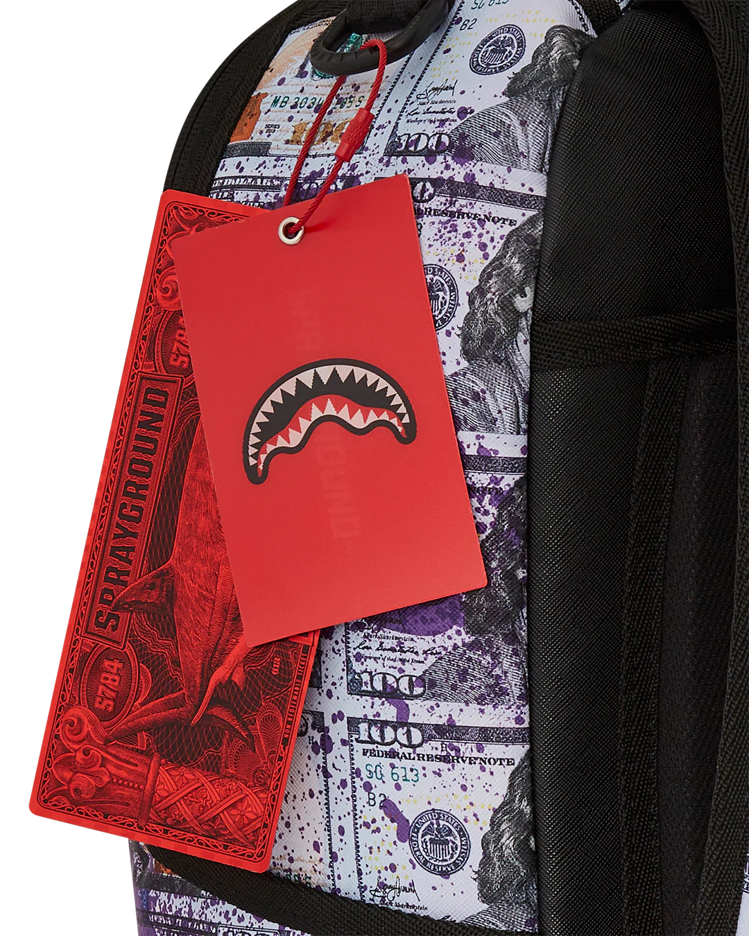 BILLIONS IN THE BANK BACKPACK - Image 14