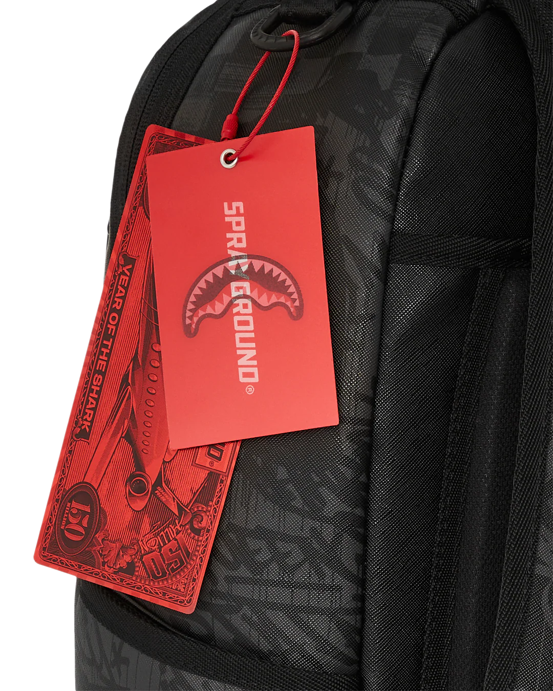 READY TO RIP DLXSV BACKPACK - Image 12